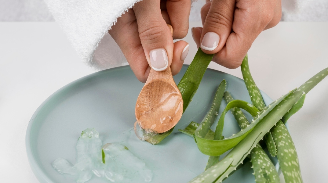 Αλόη Βέρα: Όσα μπορείς να κάνεις με μια μόνο γλάστρα στο σπίτι σου