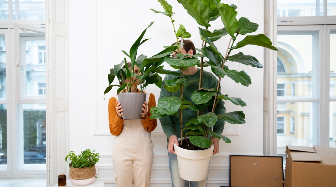 5 εντυπωσιακά φυτά εσωτερικού χώρου που αλλάζουν την ατμόσφαιρα του σπιτιού