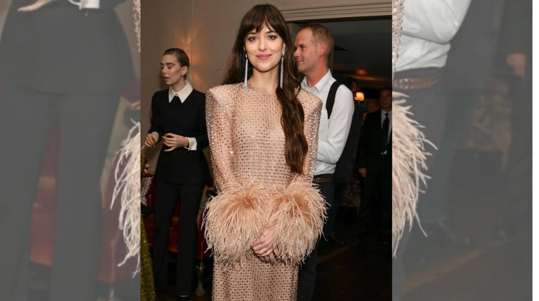 3 party inspo outifits από την Ντακότα Τζόνσον