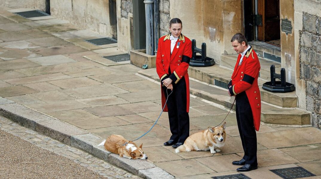 Βασίλισσας Ελισάβετ με τα κόργκι της