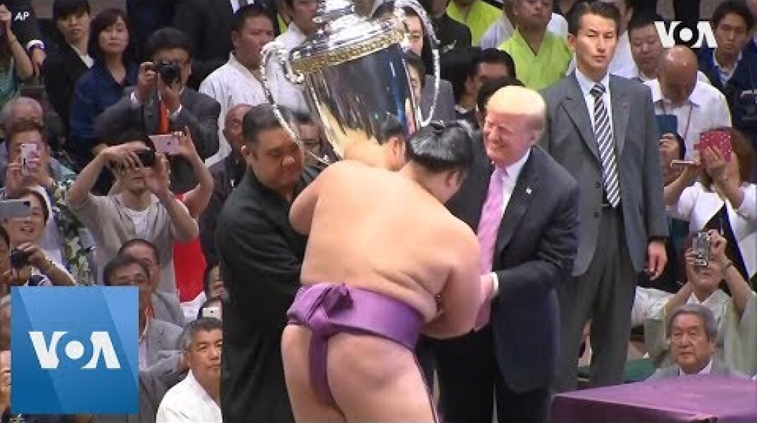 Trump, Abe Attend Sumo Event, Trump Presents Trophy to Sumo Winner in Japan