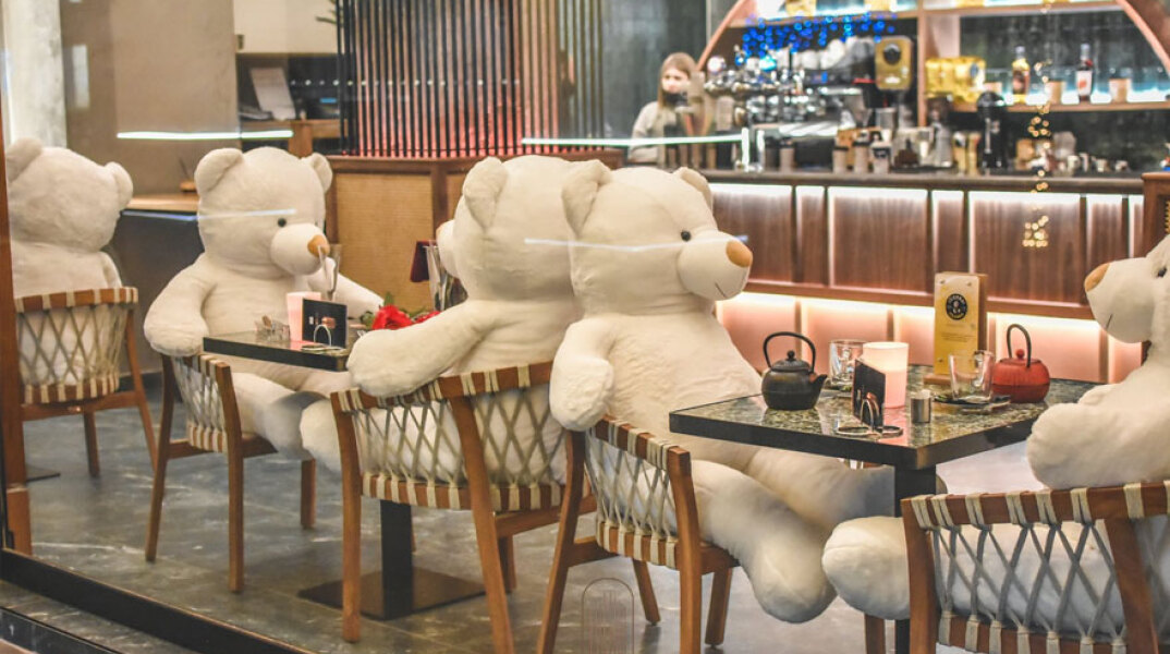 Λούτρινοι αρκούδοι κάθονται σε καρέκλες καφετέριας στην Καρδίτσα