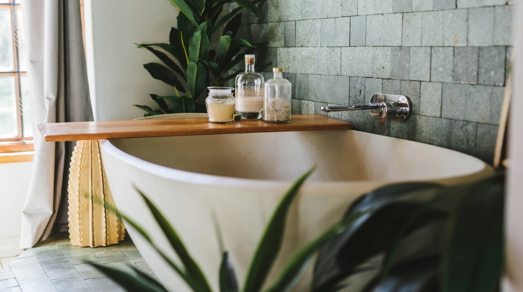 Διακόσμηση μπάνιου: Ποια φυτά αντέχουν στην υγρασία και πώς αλλάζουν την ατμόσφαιρα;