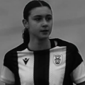 paok__1_