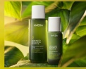 aveda