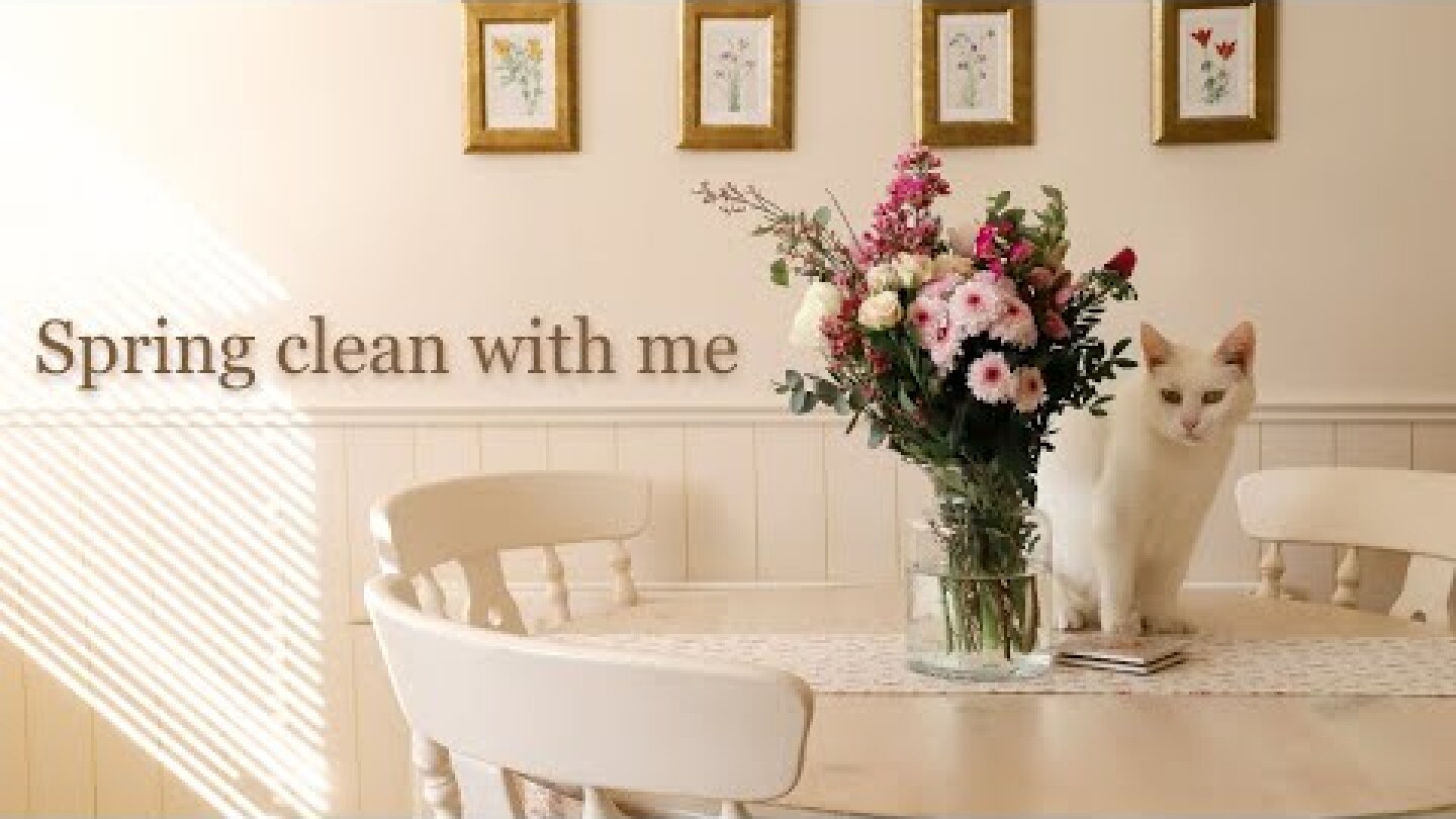 Satisfying deep Spring clean with me, home cleaning motivation!
