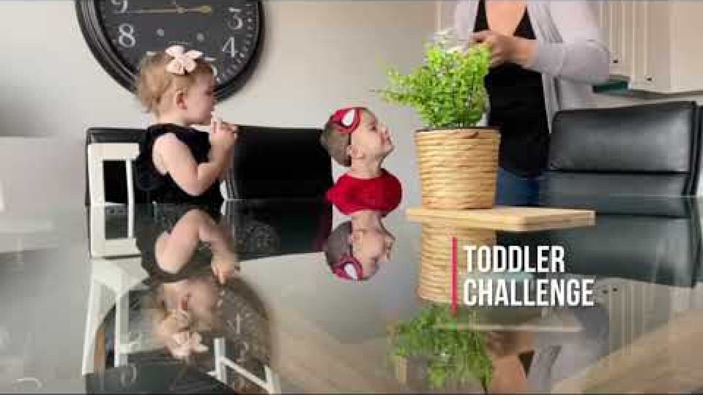 The Toddler Challenge