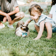 Παιδί χαϊδεύει γάτα, στο βάθος ένα ζευγάρι κάθεται