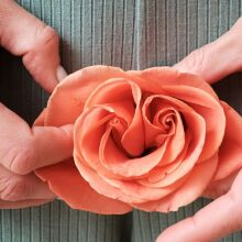 Η αιδοιοπλαστική θερίζει στις μικρές ηλικίες