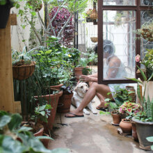 Οδηγός με 8+6 φυτά που απωθούν τα έντομα