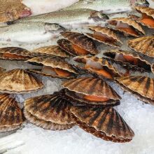 Τα ιαπωνικά χτένια στον πυρήνα της γεωπολιτικής έντασης με την Κίνα