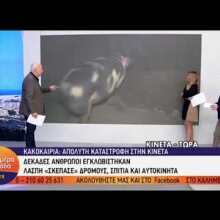 Θηλυκό γουρούνι κυνηγά τον ρεπόρτερ του Παπαδάκη! Τον δάγκωσε! Ούρλιαζε στον αέρα!