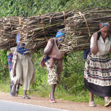 four-women-carrying-firewood.jpg