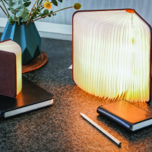 sophia enjoy thinking