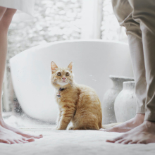 Οι 10 χειρότεροι τρόποι να χωρίσεις