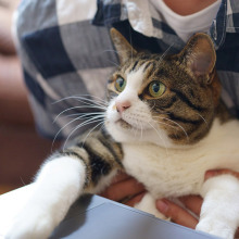 Εργασία σε υπολογιστή