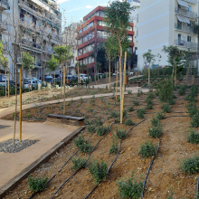 «Πάρκο Τσέπης» στο Παγκράτι