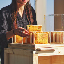 Κοπέλα κρατάει κερήθρα μελισσών