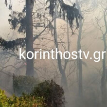 Φωτιά στα Ίσθμια: Οι φλόγες έφθασαν δίπλα σε σπίτια