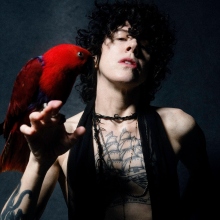 Η τραγουδίστρια LP κρατά έναν παπαγάλο