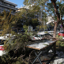 Κακοκαιρία «Ελπίδα»: Ζημιές σε αυτοκίνητα από πτώσεις δέντρων