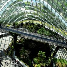 εταιρία με φυτά 