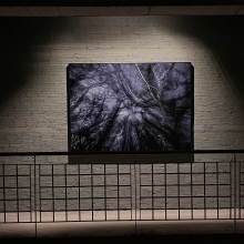 Επίσκεψη στην έκθεση του φωτογράφου Τάσου Βρεττού «Το αίνιγμα του Δάσους» στο κτίριο «Νόμπελ» στο Χαλάνδρι