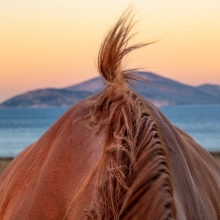 Κώστας Δελχάς: «Κάπου στο Αιγαίο» θα ξαναβρεθούμε