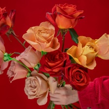 Άνδρες ή γυναίκες πιο ρομαντικοί; Μελέτη καταρρίπτει τα στερεότυπα