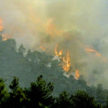 Κύπρος: Εκτός ελέγχου για 3η μέρα η πυρκαγιά στην Πάφο