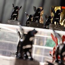 Φεστιβάλ Βενετίας: Όλοι οι νικητές της 81ης Μόστρα