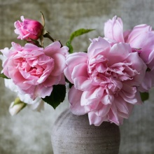 Βάζο με ροζ λουλούδια