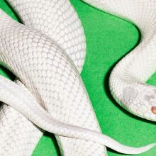 My Own Summer: Βάλτο εκεί που ξέρεις