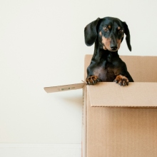 Φοιτητικό σπίτι Back to school