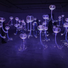 Athens Digital Arts Festival 2025 | "Medusa Valley"