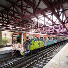 Επιβάτης καταγγέλλει ότι δέχτηκε επίθεση από ροτβάιλερ στον Ηλεκτρικό -«Ήταν χωρίς φίμωτρο»