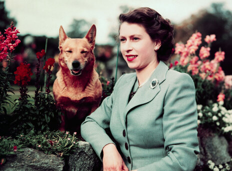 Η βασίλισσα Ελισάβετ είχε σημαντική ιδιωτική περιουσία