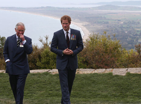 Ο βασιλιάς Κάρολος Γ' έκανε ξεχωριστή αναφορά στον πρίγκιπα Χάρι στο πρώτο του διάγγελμα