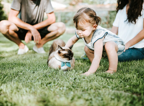 Παιδί χαϊδεύει γάτα, στο βάθος ένα ζευγάρι κάθεται