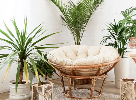 Τα ιδανικά φυτά για κάθε δωμάτιο στο σπίτι