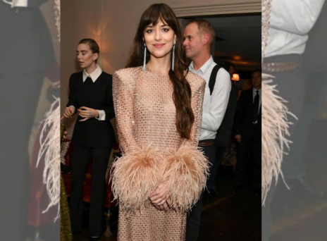 3 party inspo outifits από την Ντακότα Τζόνσον