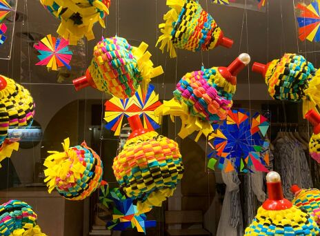 Paolia, "Undomesticated"