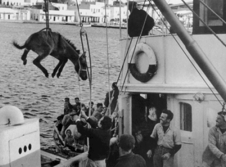 Φωτό: Ανδρέας Εμπειρίκος