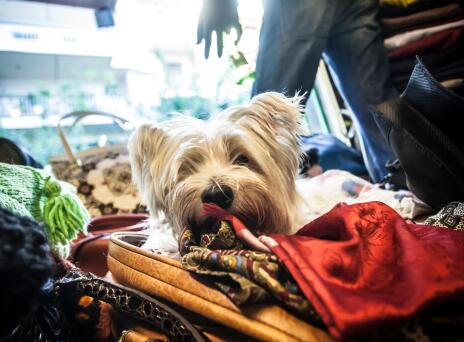 5 μαγαζιά στην Αθήνα για να ψωνίσεις vintage 