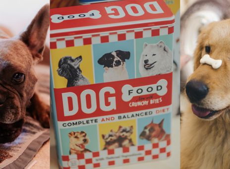 Αναρωτηθήκαμε τι γεύση και υφή έχουν οι σκυλοτροφές και τολμήσαμε να δοκιμάσουμε.