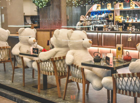 Λούτρινοι αρκούδοι κάθονται σε καρέκλες καφετέριας στην Καρδίτσα