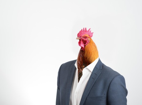 Ανδρικό σώμα με κεφάλι κόκκορα