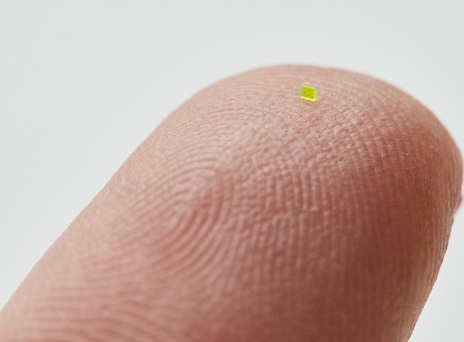 Η μικροσκοπική τύπου Luis Vuitton τσάντα της καλλιτεχνικής κολεκτίβας MSCHF έπιασε πάνω από €55.000 σε δημοπρασία - Είναι σχεδόν αόρατη δια γυμνού οφθαλμού.