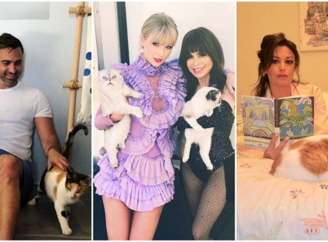 Γιώργος Καπουτζίδης, Taylor Swift, Δωροθέα Μερκούρη