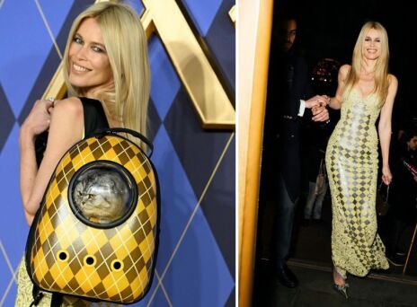 Κλόντια Σίφερ: Στο κόκκινο χαλί για την πρεμιέρα της ταινίας «Argylle» με τη γάτα της - Το κατοικίδιο του διάσημου μοντέλου έχει πρωταγωνιστικό ρόλο στο θρίλερ.